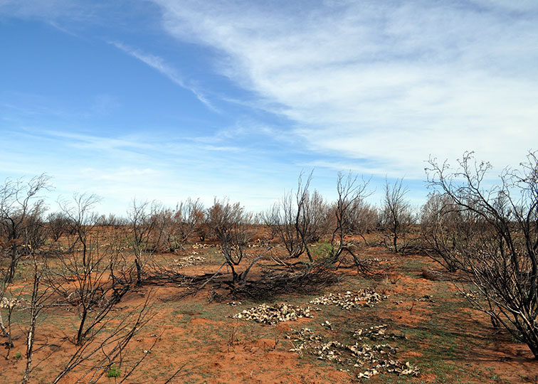 Image described below