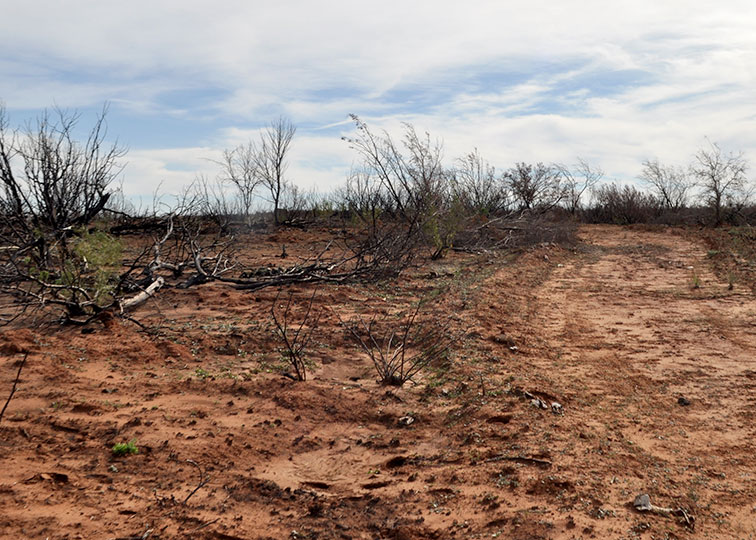 Image described below