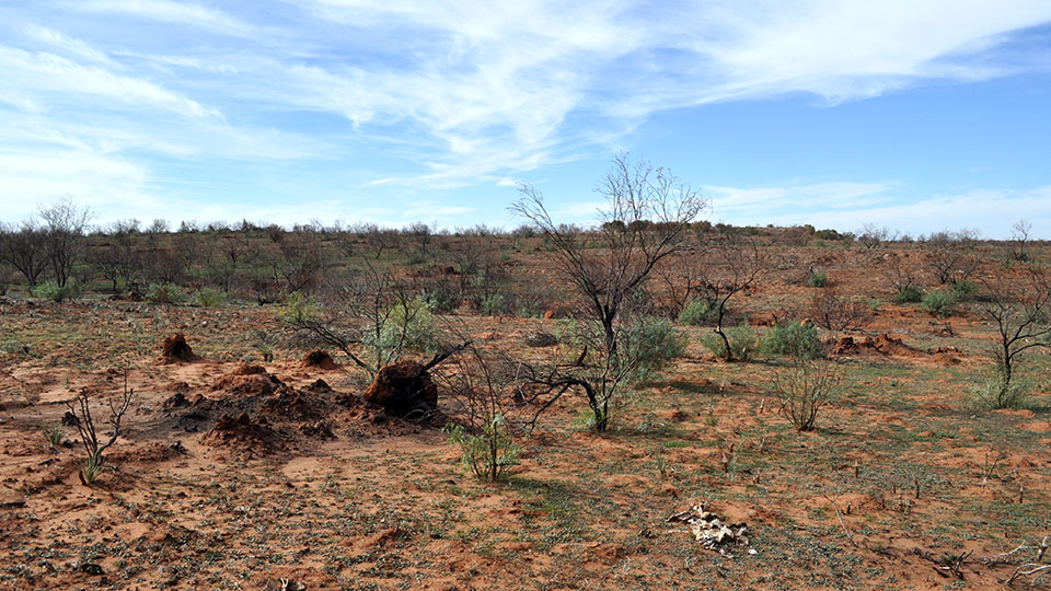 Image described below