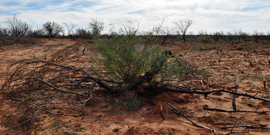 Image described below