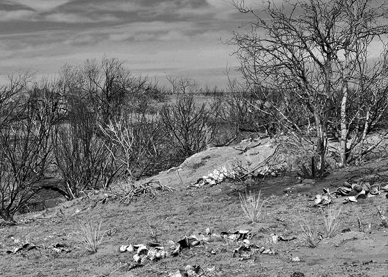 Image described below