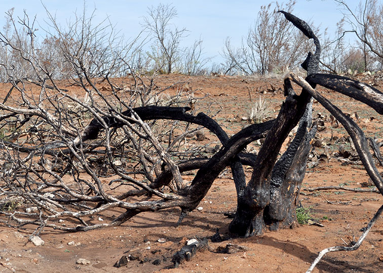 Image described below