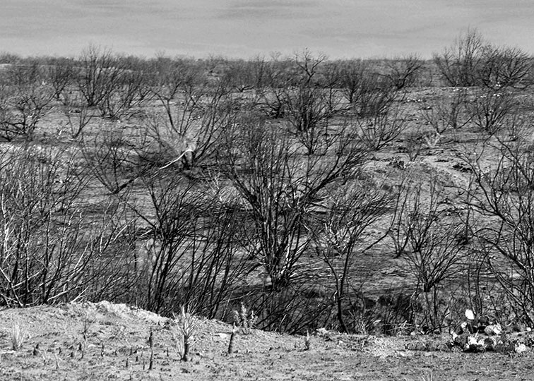 Image described below