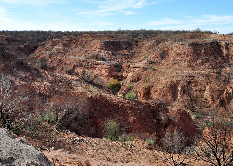 Image described below