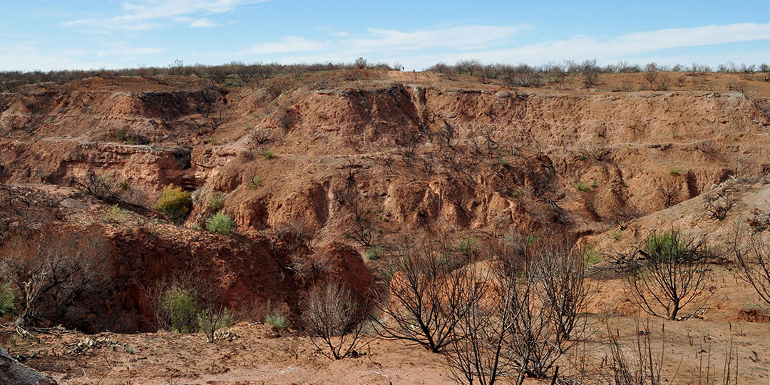 Image described below