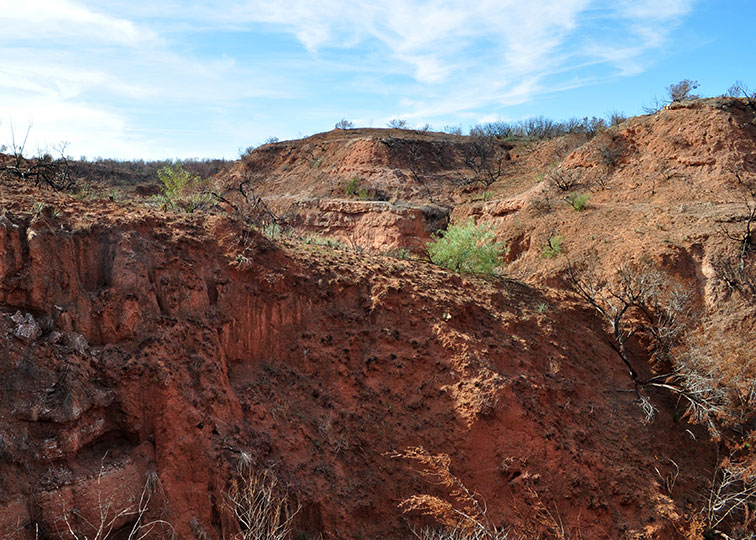 Image described below