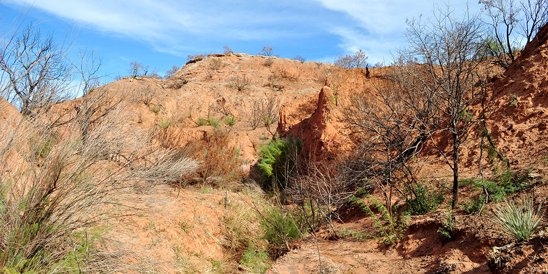 Image described below