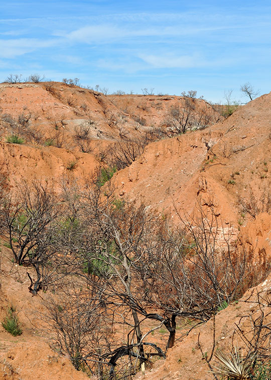 Image described below