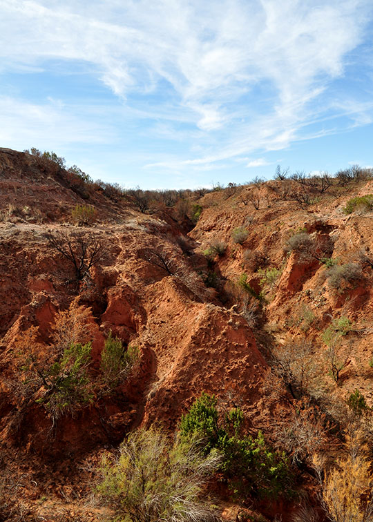 Image described below