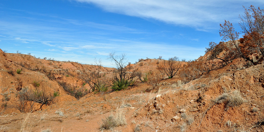 Image described below