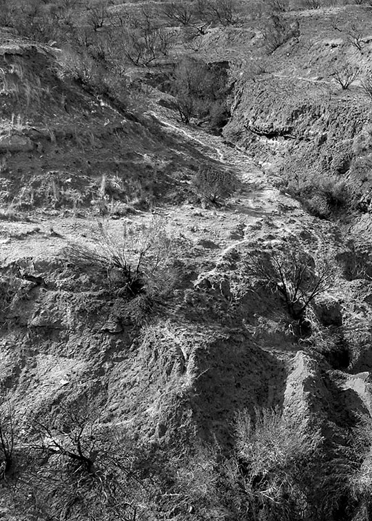 Image described below