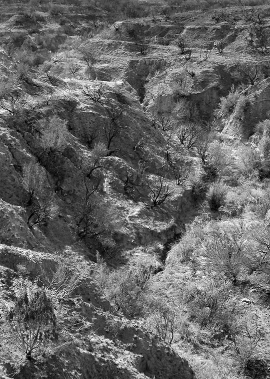 Image described below