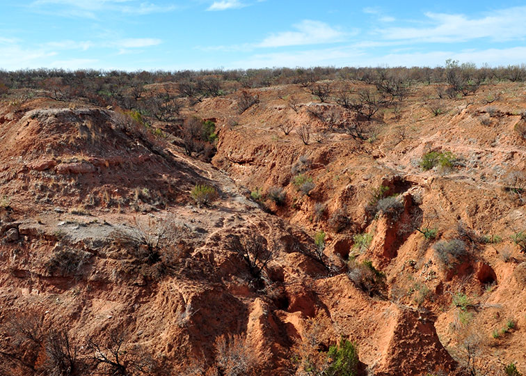 Image described below