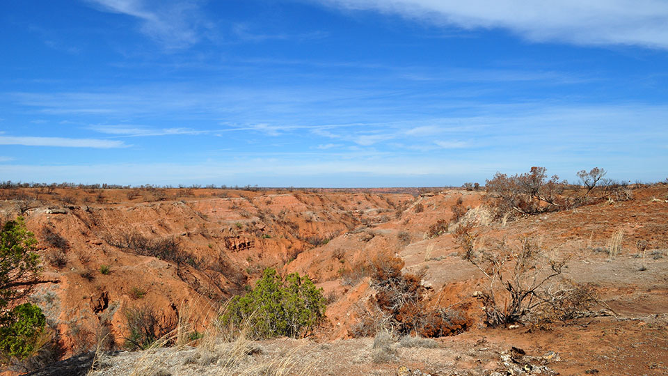 Image described below