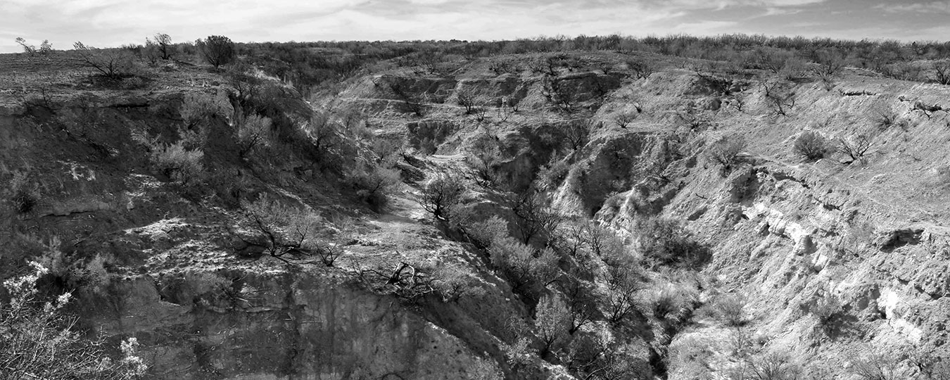 Image described below