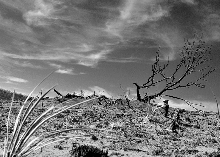 Image described below