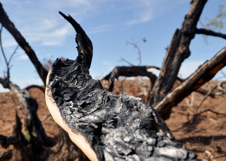 Image described below