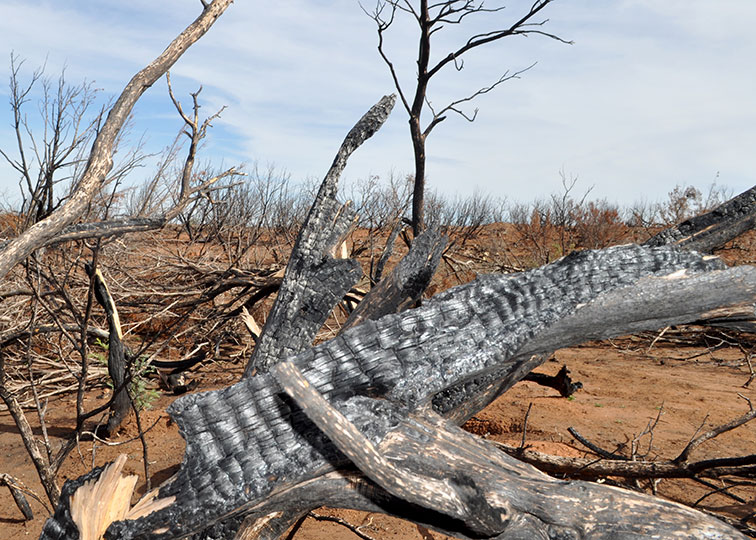 Image described below