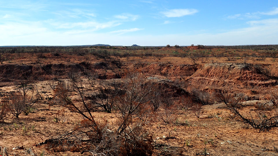 Image described below