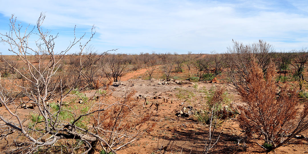 Image described below