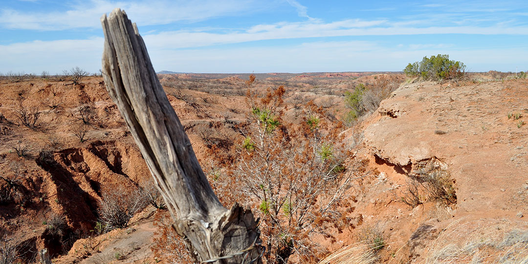 Image described below