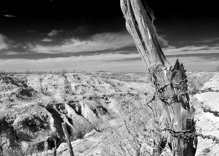 Image described below