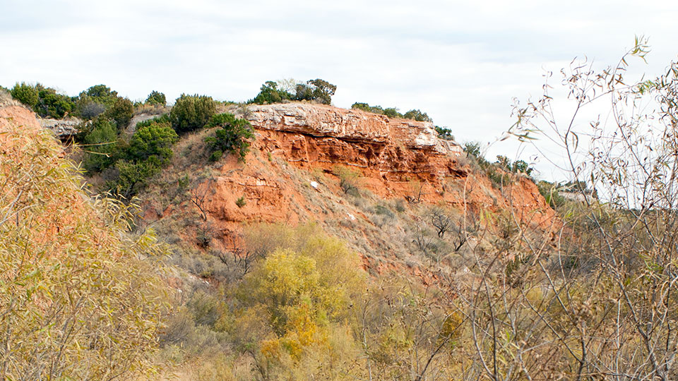 Image described below