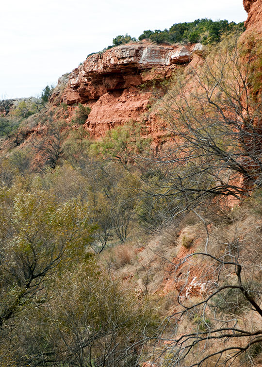 Image described below