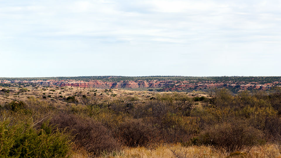 Image described below