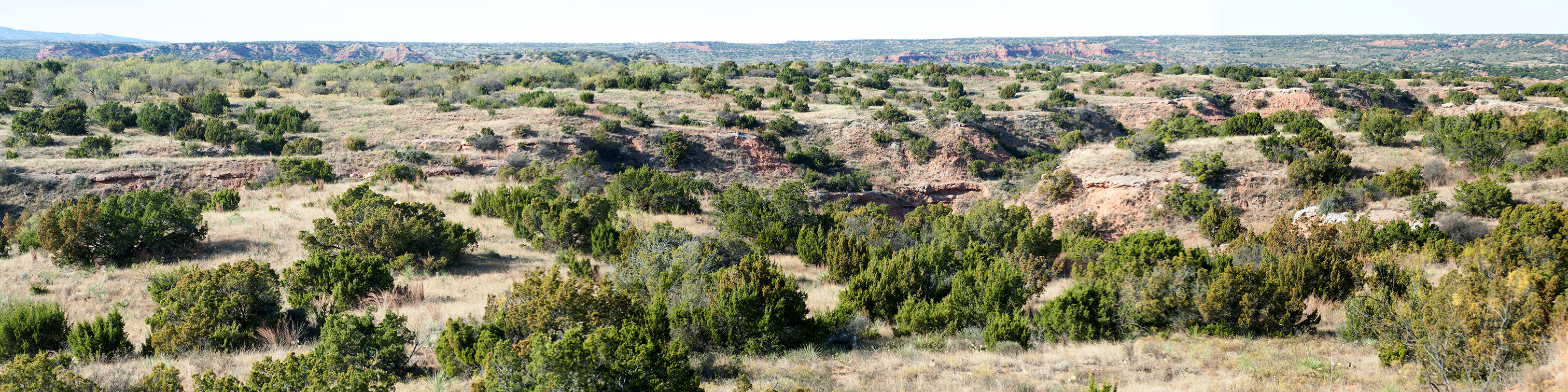 Image described below