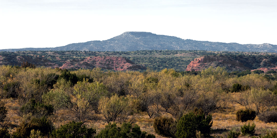 Image described below