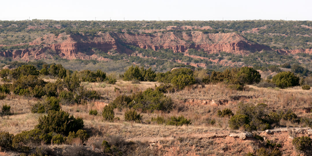 Image described below