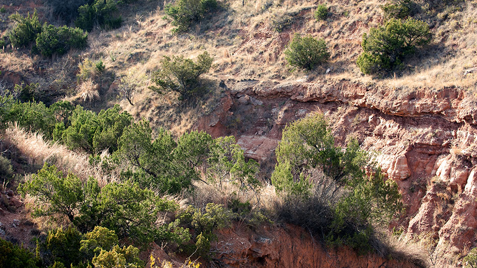 Image described below