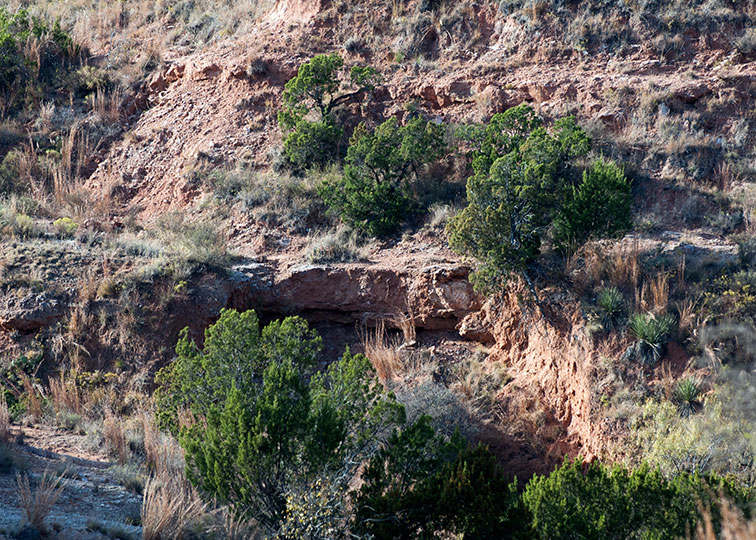 Image described below