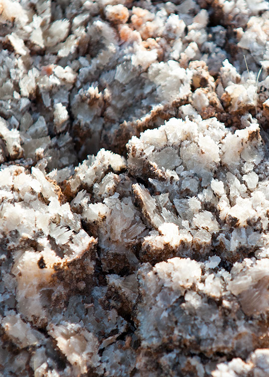 Image described below