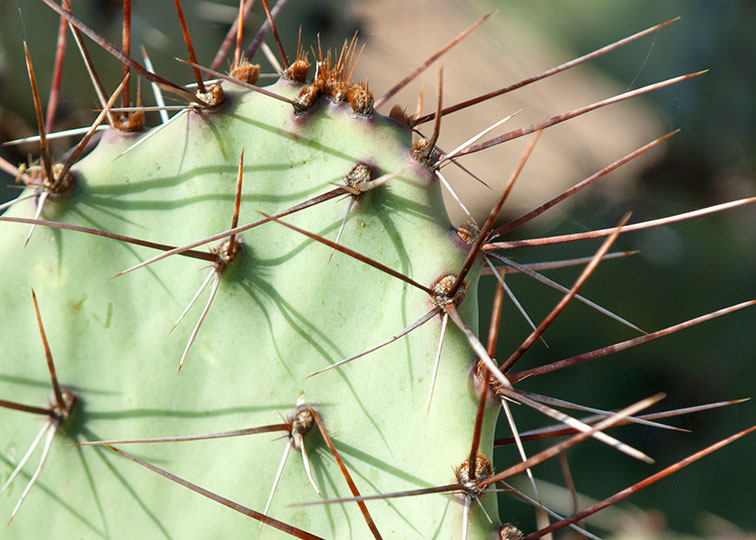 Image described below