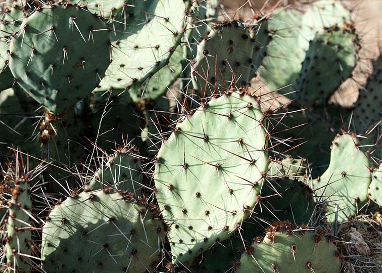 Image described below