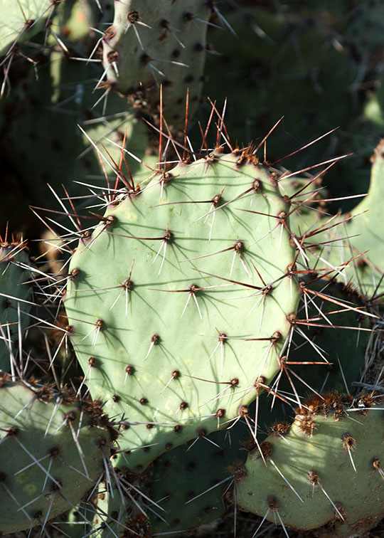 Image described below