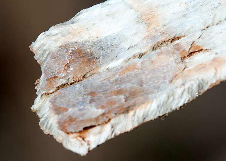 Image described below