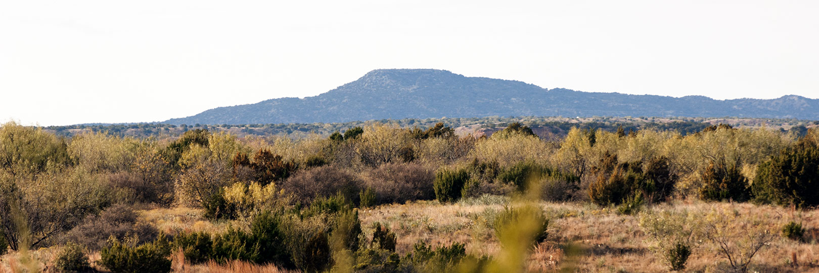 Image described below