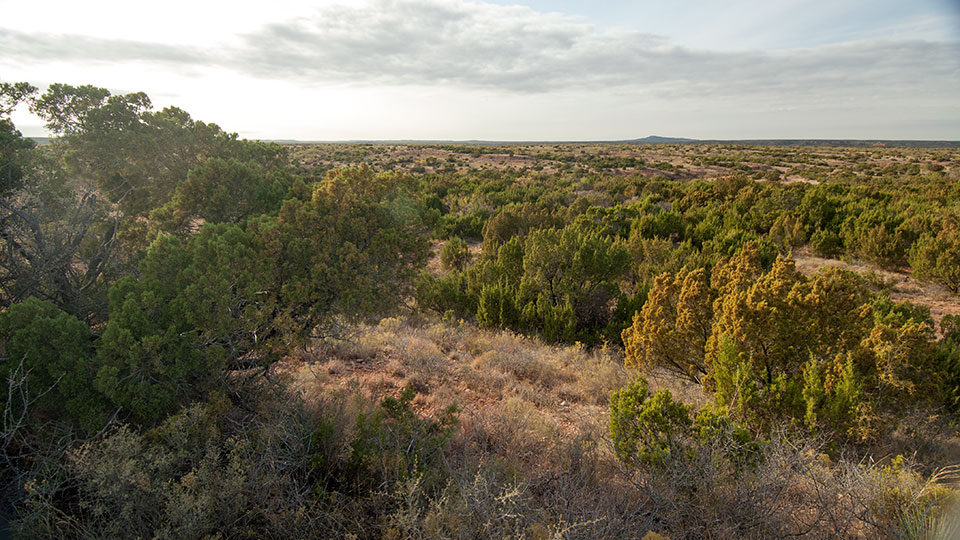 Image described below