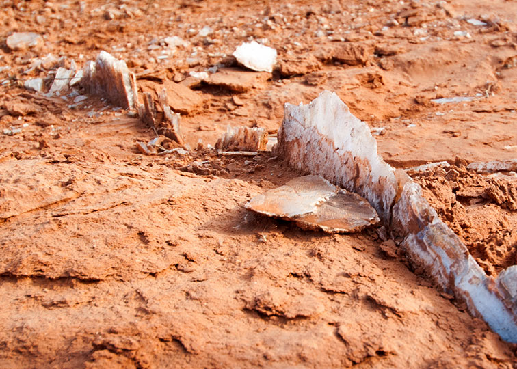 Image described below