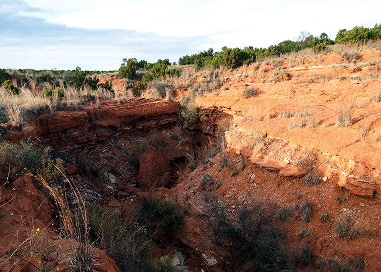 Image described below