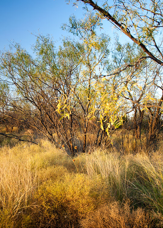 Image described below