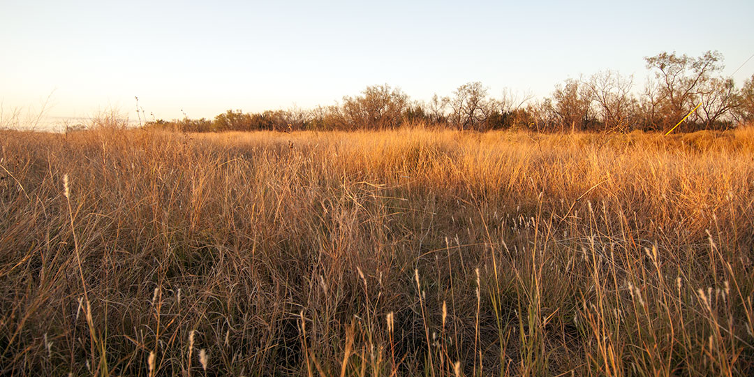 Image described below