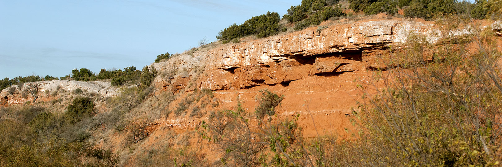 Image described below