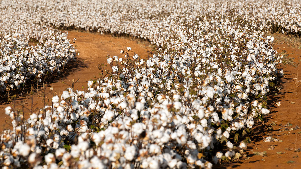 Image described below