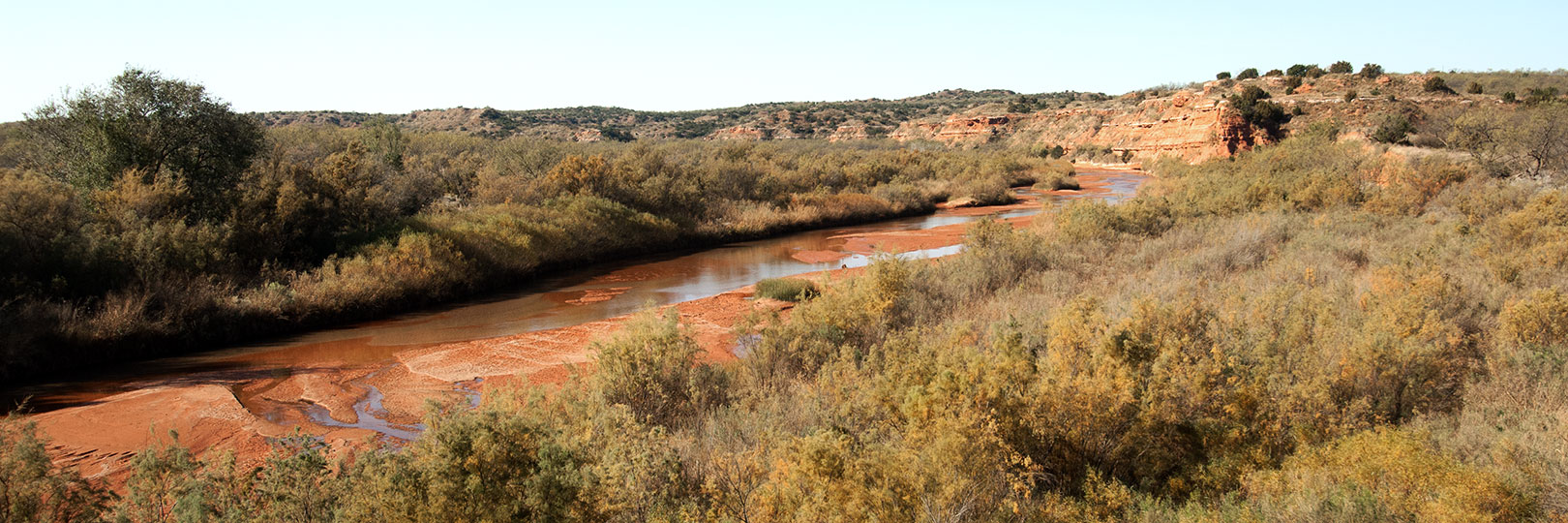 Image described below