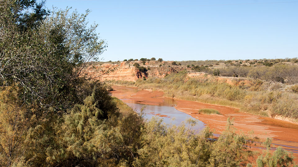 Image described below