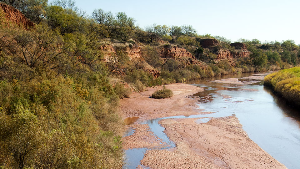 Image described below